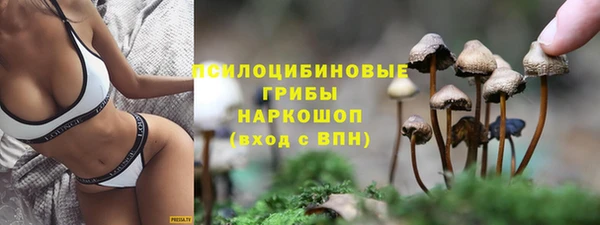 спиды Алзамай