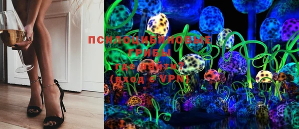 mdpv Переславль-Залесский
