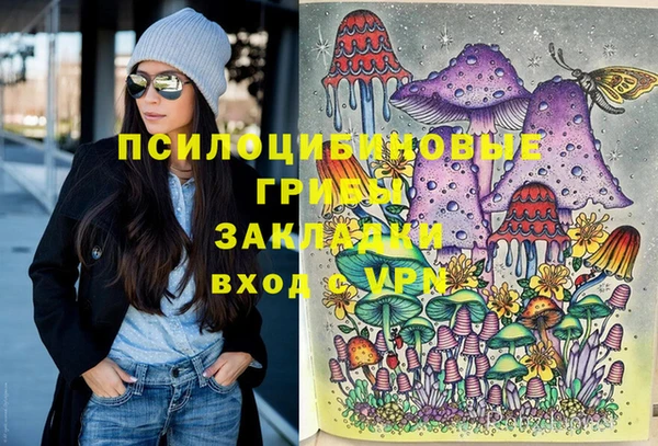 mdpv Переславль-Залесский