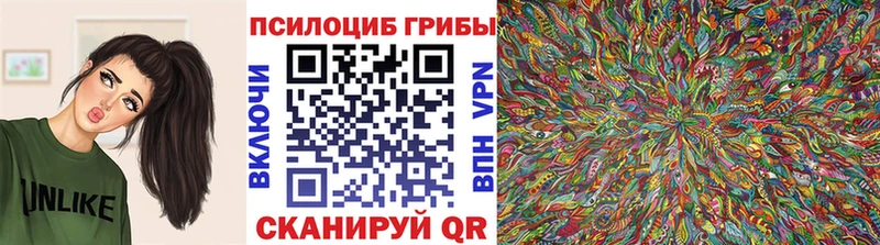 Галлюциногенные грибы мицелий  Верхоянск 